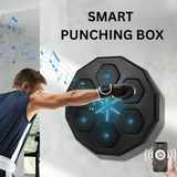 Smart Boxing Pad